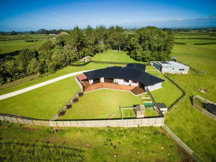 295 Opunake Road Cardiff_1