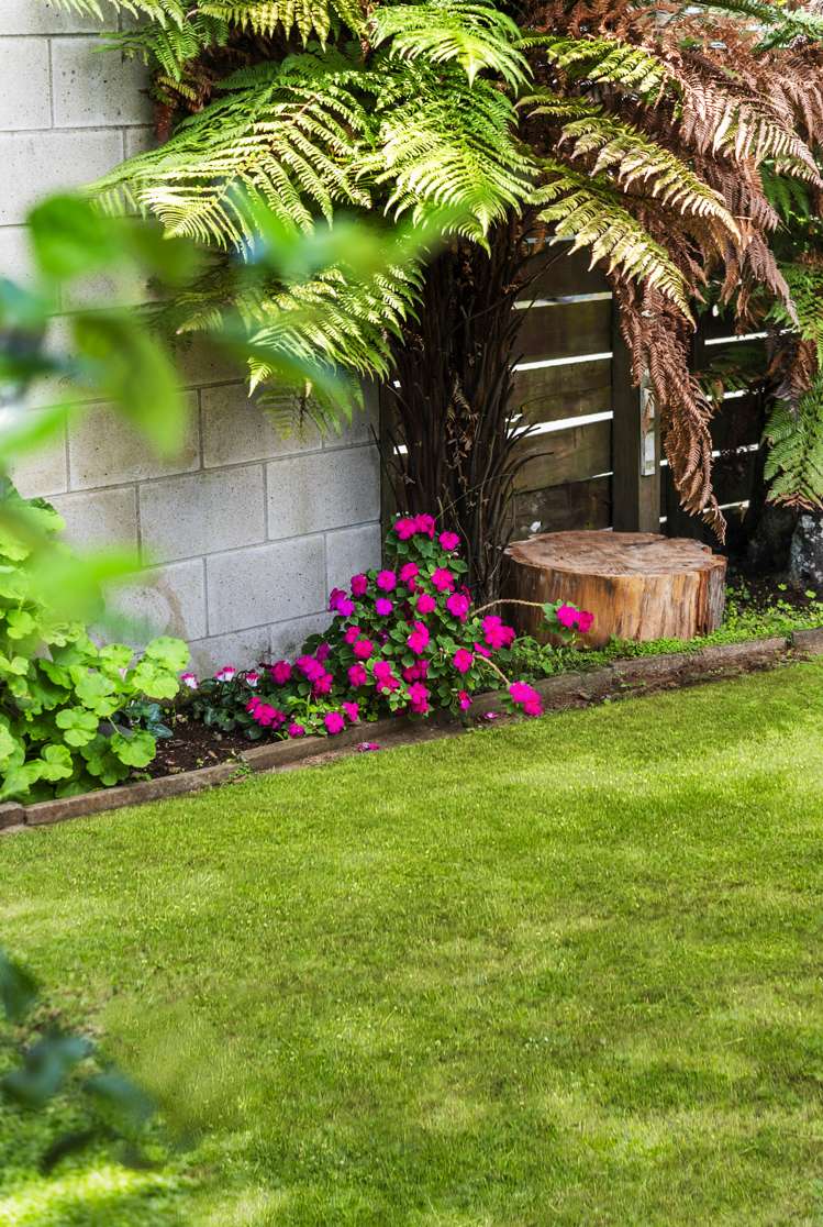 2/32 Campbell Road Onehunga_12