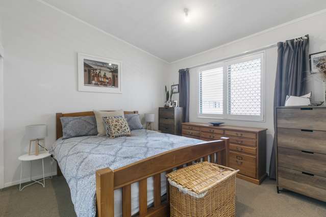 14 Boardman Lane Auckland Central_3