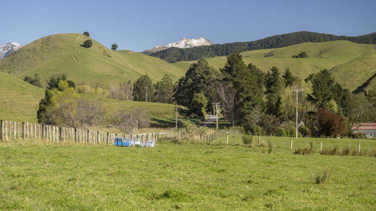 Lot 1 Mikimiki Road Masterton_2