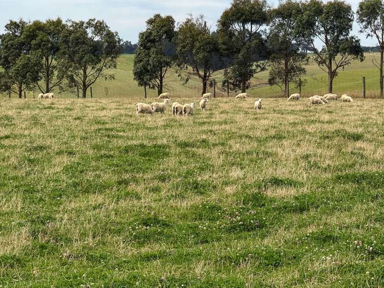 10 Four Mile Creek Road Te Houka_2