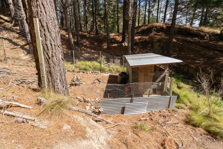 329 Takarau Gorge Road Ohariu_39