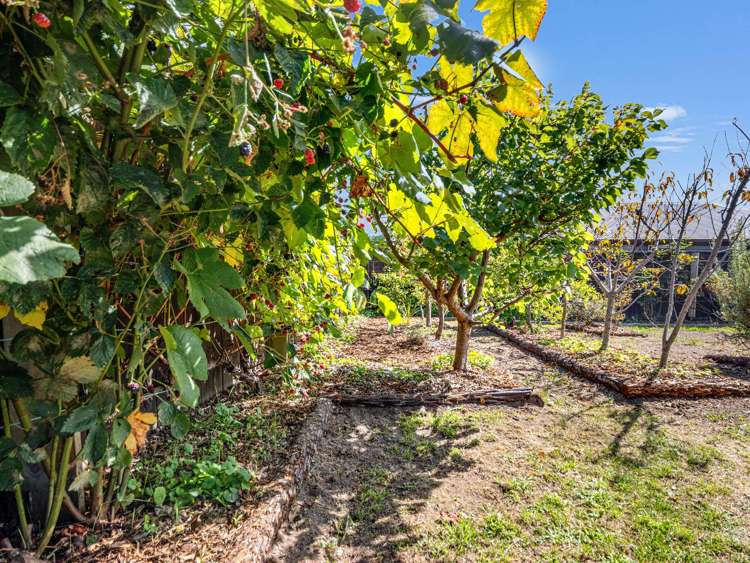 5 Barbary Close Wharewaka_31