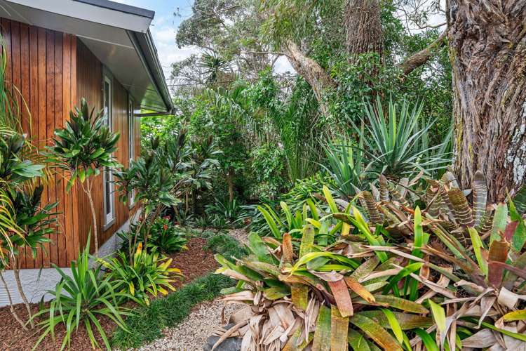 13 Clyde Street Dargaville_33