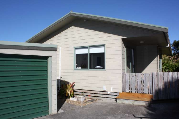6b Primrose Street Raglan_22
