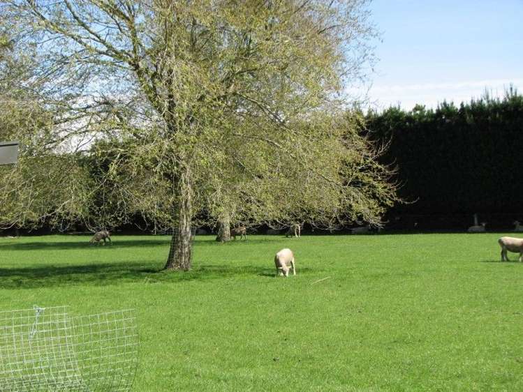 400 Ashburton Staveley Road Greenstreet_6