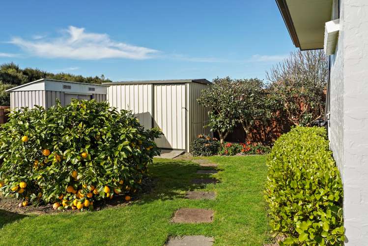 11 Soma Place Cambridge_14