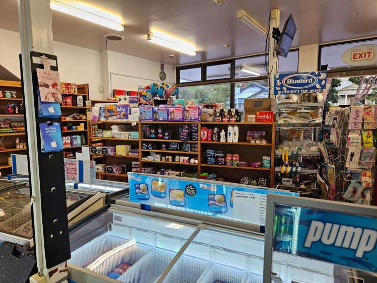 63 Williamson Avenue Grey Lynn_4