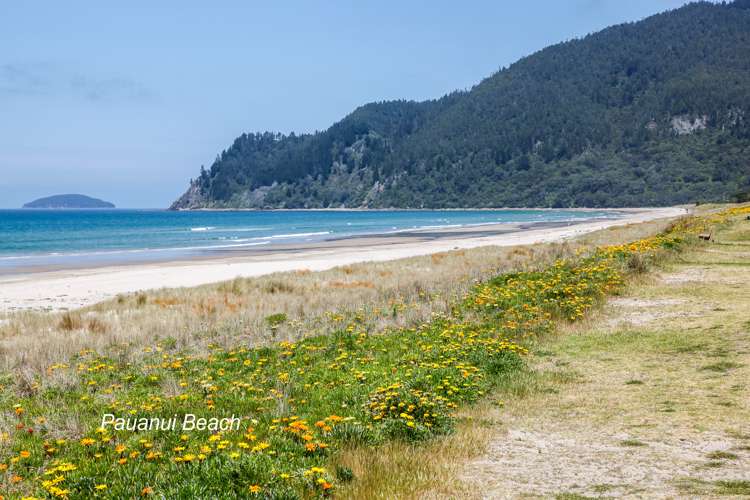 147 Vista Paku Pauanui_28