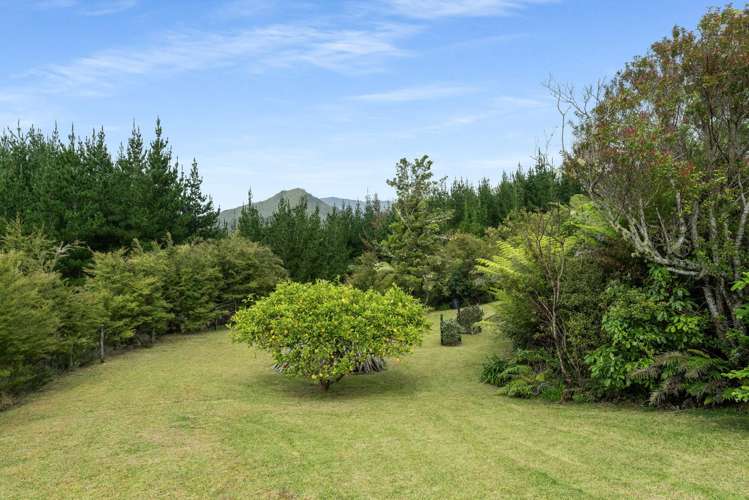 112 Hikuai School Road, Hikuai Tairua_12