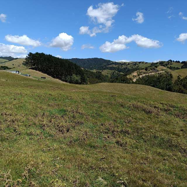 149B Torehape Road Kaihere_1