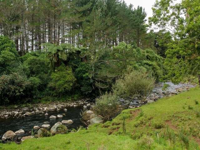 1059 Mountain Road Inglewood_3