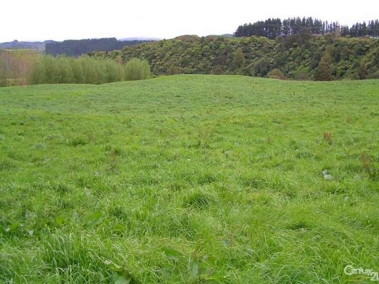 872 Puketawai Road Otorohanga_5