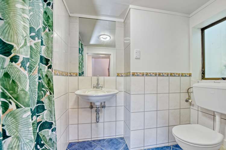 14 Orsman Crescent Toi Toi_13