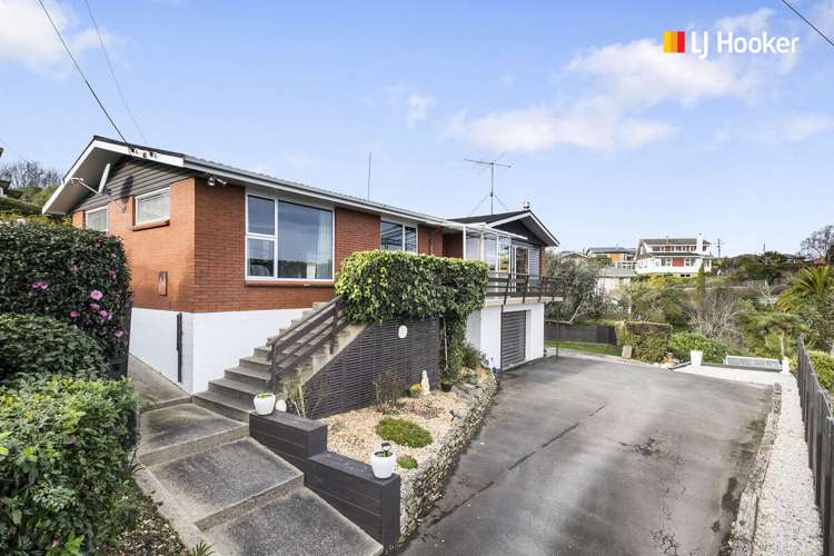 136 Larnach Road_0