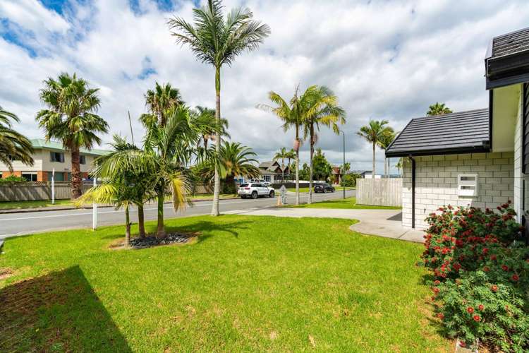 4 May Grove Lane Tamaterau_23