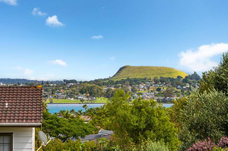 22 Andrea Place Sunnyhills_4