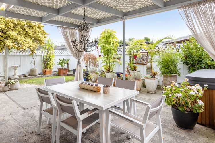 146 Vigor Brown Street Napier South_22