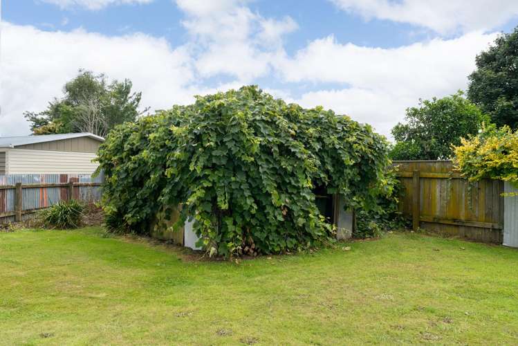 15B Roosevelt Street Levin_14