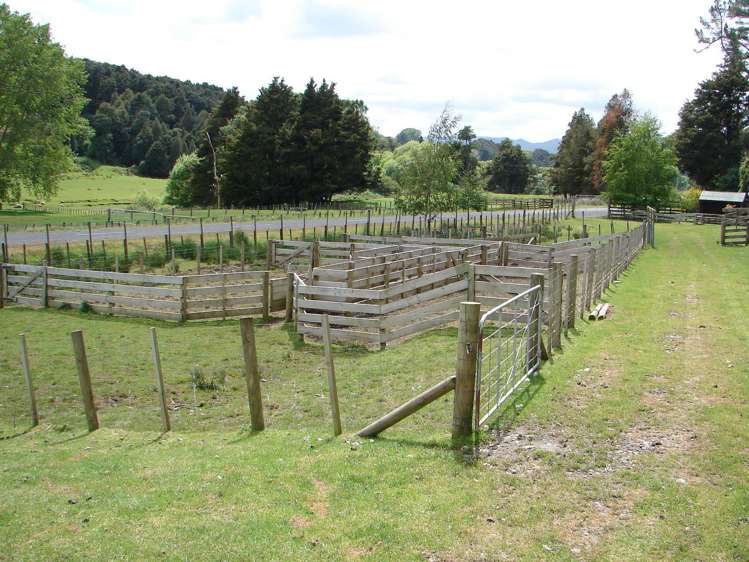 1742 Taringamotu Road Taringamotu_18