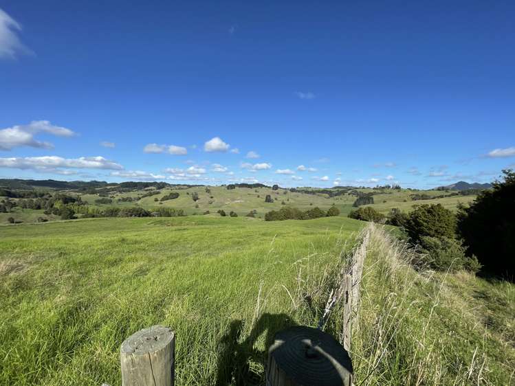 203 Otuhi Road Mangapai and Surrounds_14