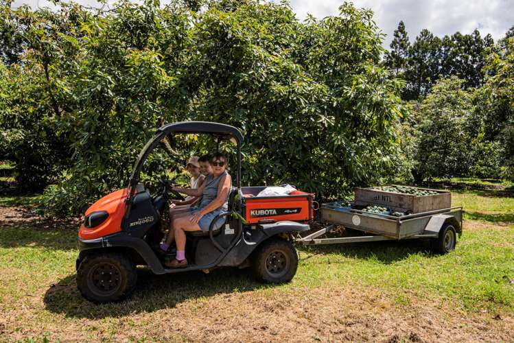 1700 State Highway 14 Maungatapere_4