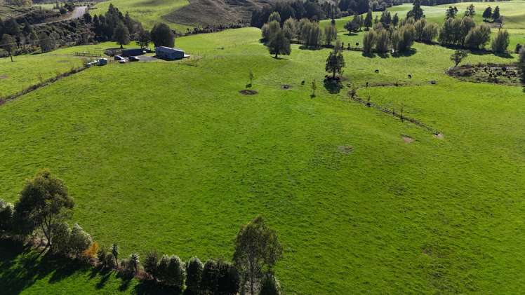 305 Waitetuna Valley Road Raglan_20