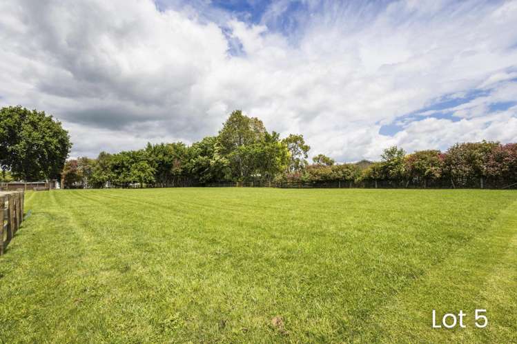 4 x Lots, Coates Lane Te Poi_9