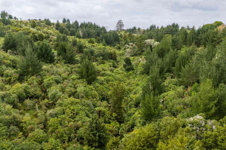 3044 Paparoa-Oakleigh Road, Paparoa Paparoa_27