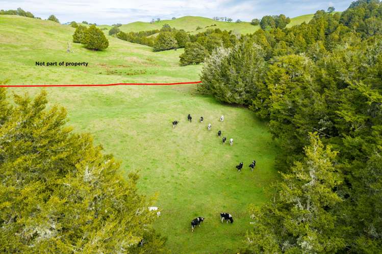 1891 Pipiwai Road Ruatangata_8