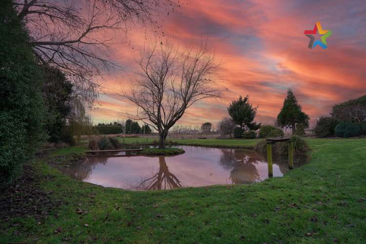 220 Mill Road South Seaward Bush_23