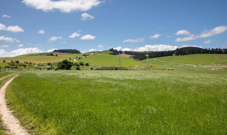 Lot 13, 0 Oven Hill Road Roxburgh_6
