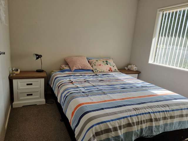 10A Aurea Avenue Pakuranga_2