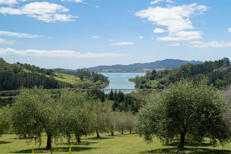 125A Frantoio Ridge Road Mangonui_29