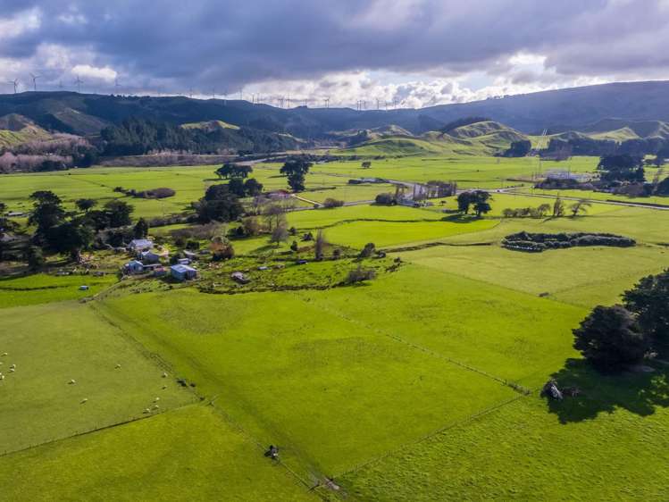 12 Latha Grove Woodville_4