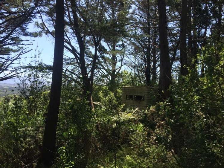 199 Creamery Road Kohukohu_7