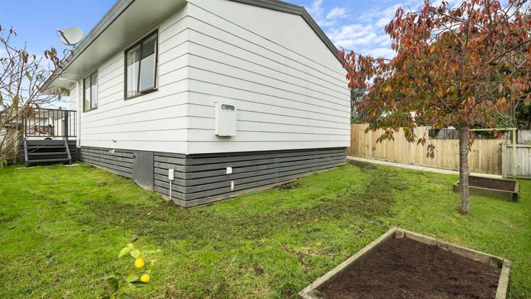 186 Boucher Avenue Te Puke_3