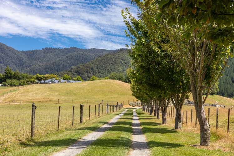 22 Hebberds Road Rai Valley_32