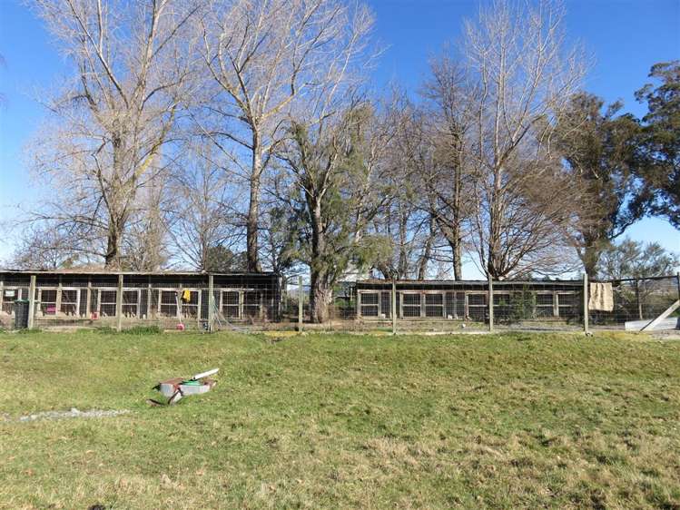 208 Woodbury Road Geraldine_10