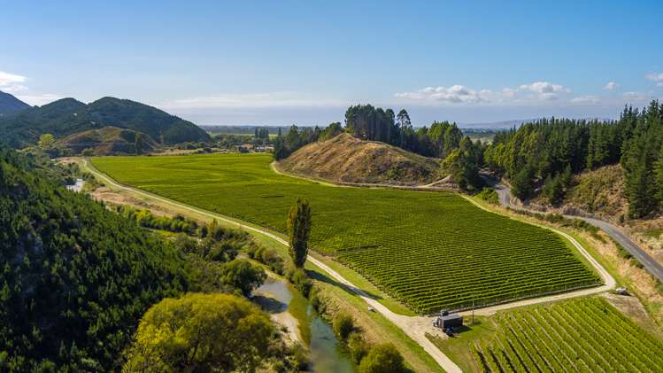 Northbank Road Kaituna_5