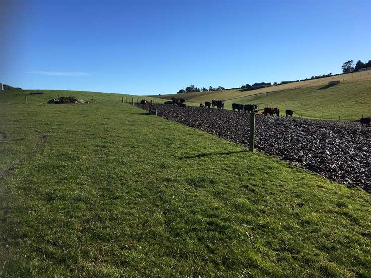 136 Rolling Ridges Road Levels Valley_18