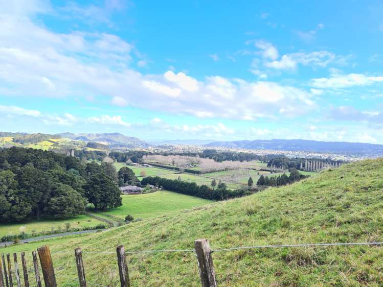 59 Puketotara Road Glenbervie_22