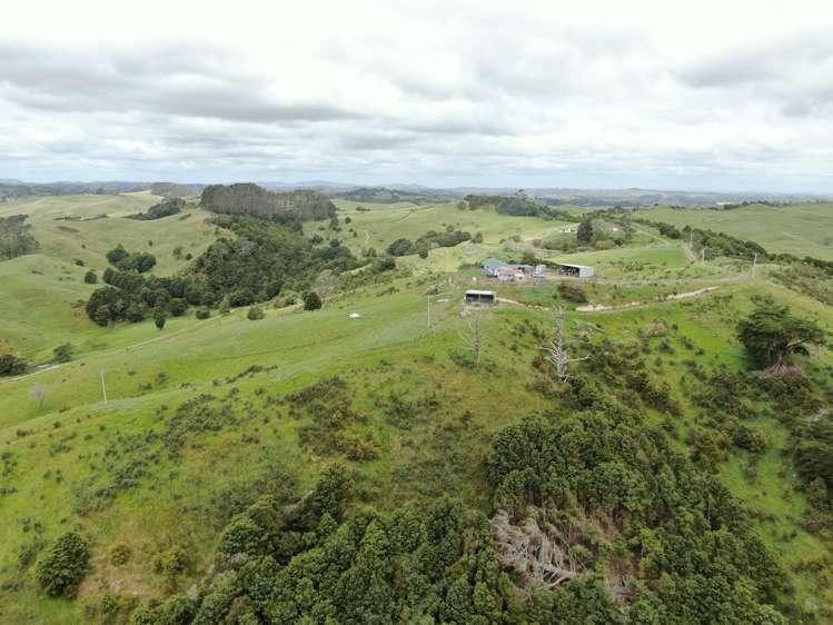 322 Ball Road Matakohe_22