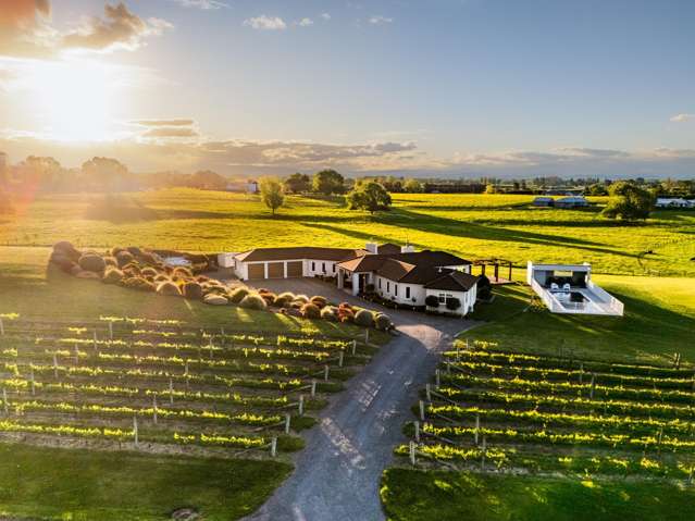 Elevated Living in Prestigious Park Hill Estate