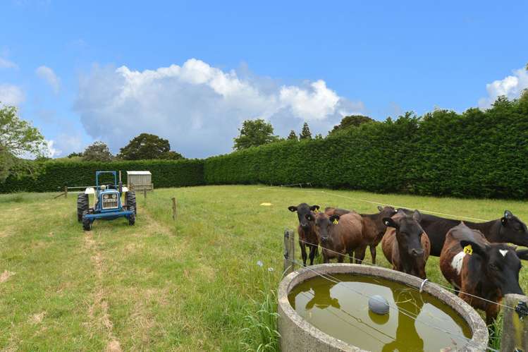 296 Cemetery Road Maunu_7