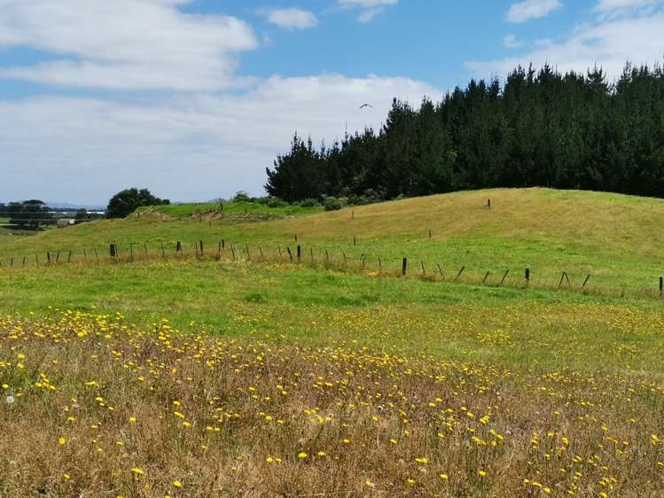 237 Marsden Point Road Ruakākā_6