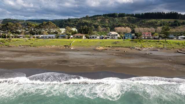 230 Whirinaki Road Eskdale_3