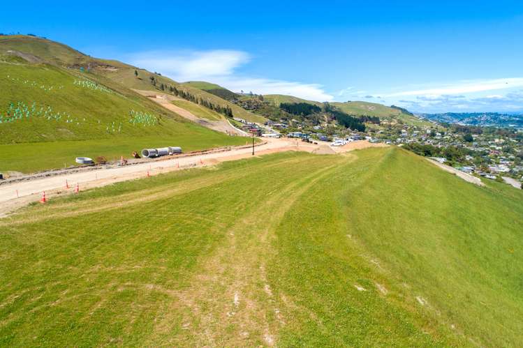 Bay View Road Atawhai_6