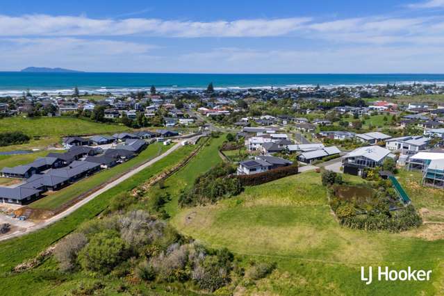 20 Tohora View Waihi Beach_4