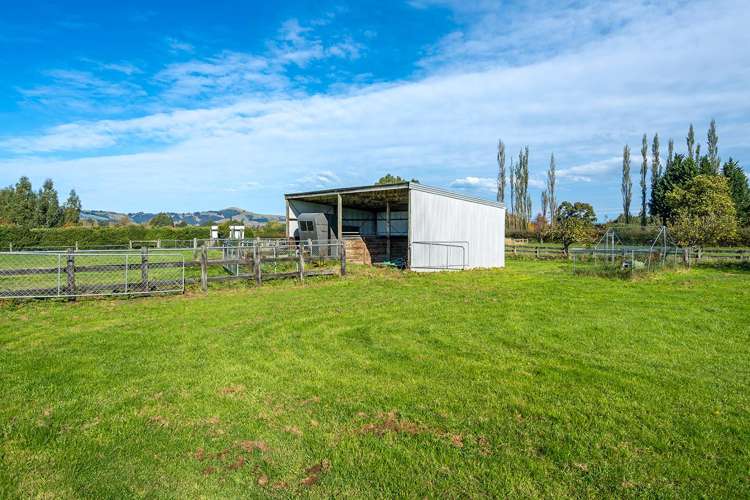 83 Tirohanga Road North Taieri_31